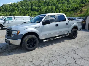 Ford F-150 4.6L 8 2009