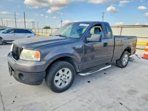 Ford F-150 4.6L 8 2007