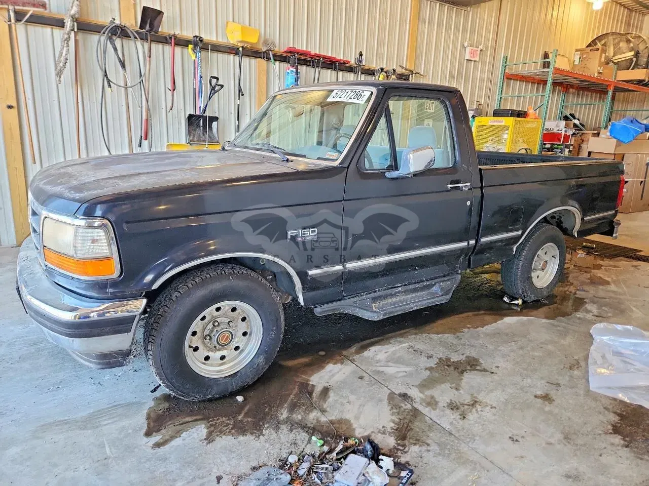 Ford F-150 4.9L 6 1994