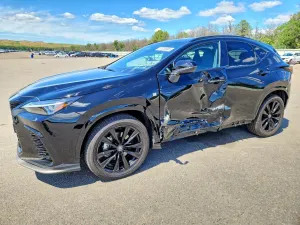 Lexus NX 2.4L 4 2024