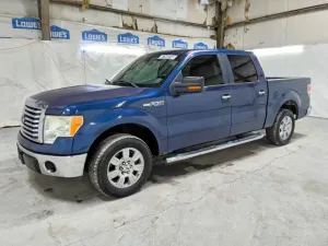Ford F-150 4.6L 8 2010