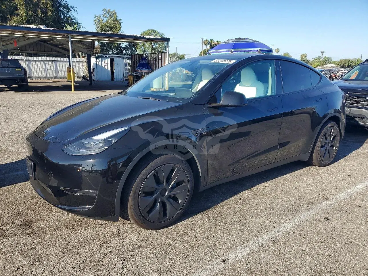 Tesla Model Y 2025