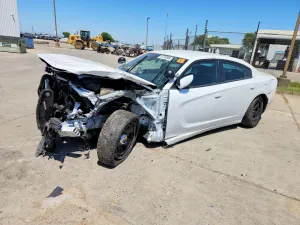 Dodge Charger 5.7L 8 2021