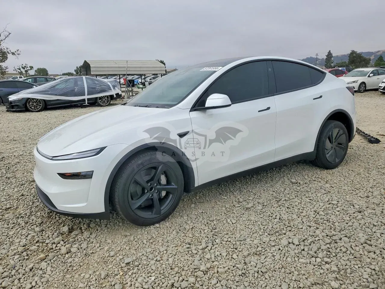 Tesla Model Y 2026