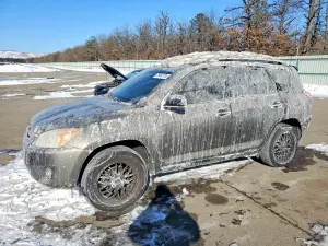 Toyota Rav4 2.5L 4 2010