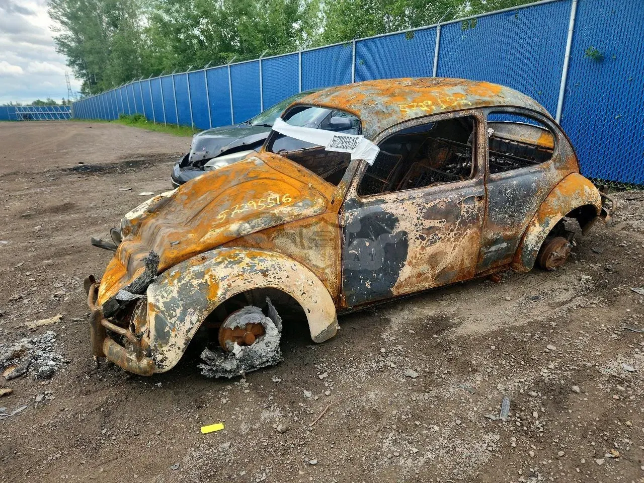 Volkswagen Beetle 1967