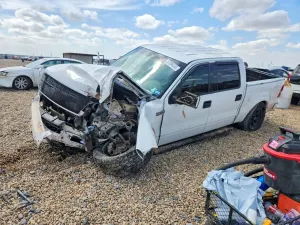 Ford F-150 5.4L 8 2004