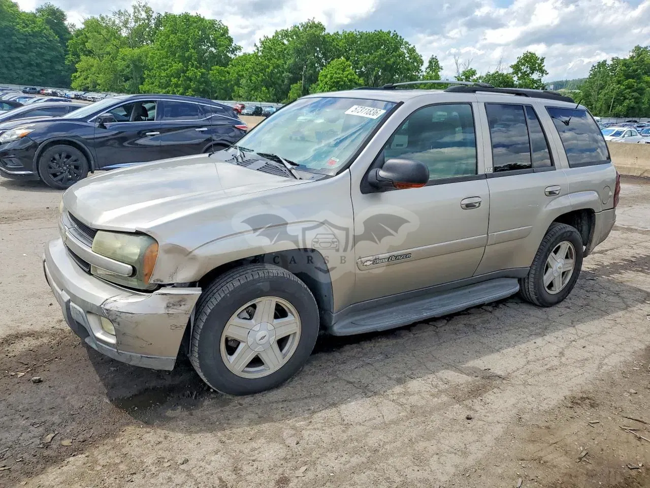 Chevrolet Trailblazer 4.2L 6 2002