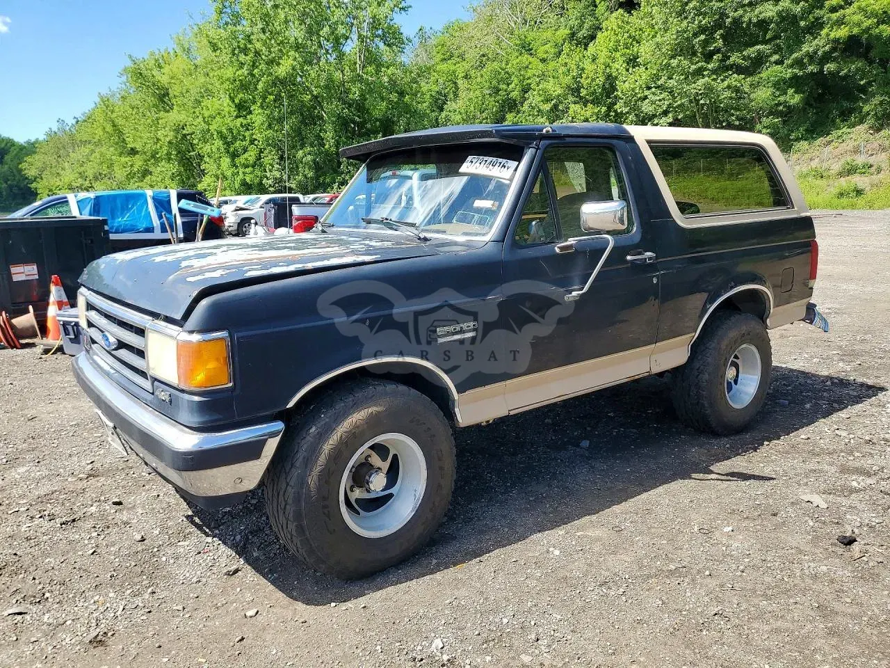 Ford Bronco 5.8L 8 1991