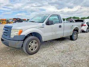 Ford F-150 4.6L 8 2009