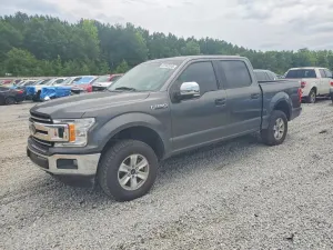 Ford F-150 5.0L 8 2019