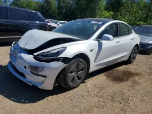 Tesla Model 3 2019
