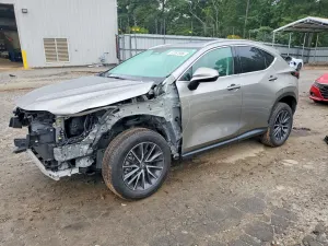 Lexus NX 2.4L 4 2024