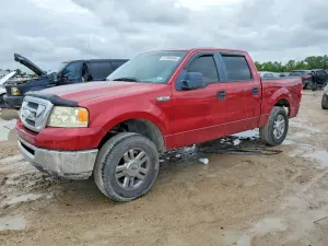 Ford F-150 4.6L 8 2008