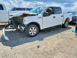 Ford F-150 5.0L 8 2020