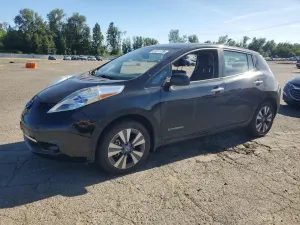 Nissan Leaf 0.0L 0 2013