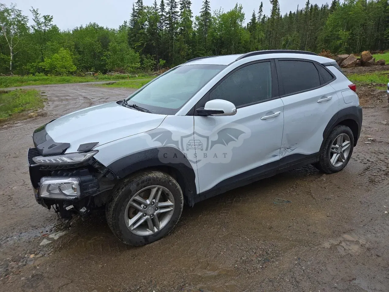 Hyundai Kona 2.0L 4 2019
