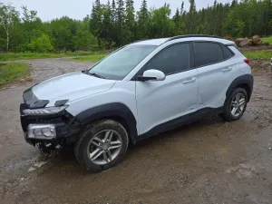 Hyundai Kona 2.0L 4 2019