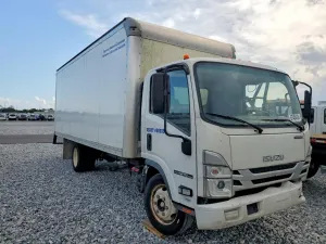 Isuzu NPR 6.6L 8 2024