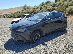 Lexus NX 2.4L 4 2023