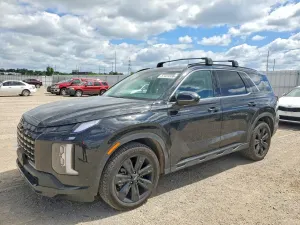 Hyundai Palisade 3.8L 6 2024