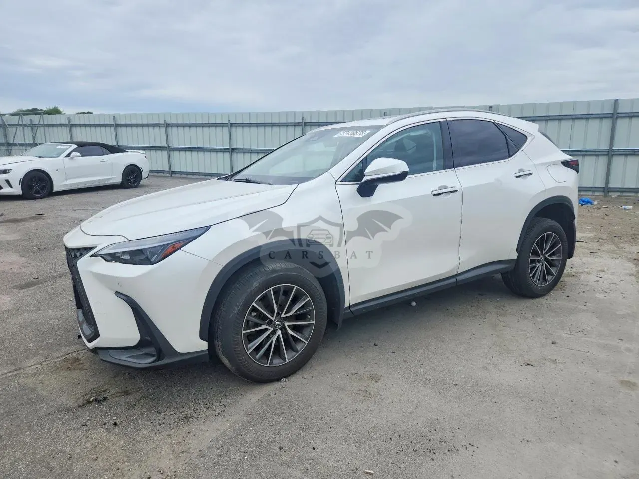 Lexus NX 2.4L 4 2023