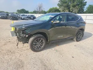 Lexus NX 2.5L 4 2025