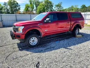 Ford F-150 5.0L 8 2019