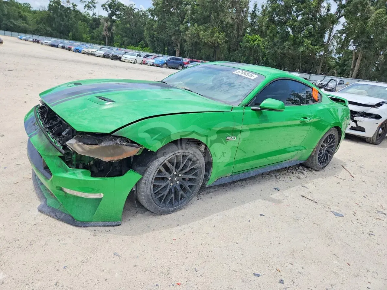 Ford Mustang 5.0L 8 2019