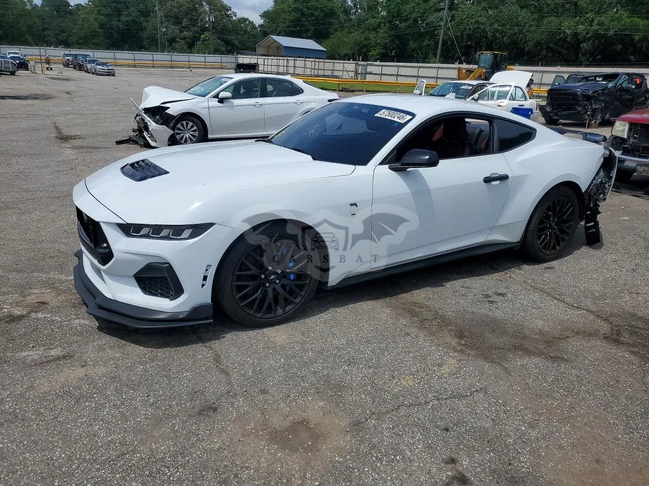 Ford Mustang 5.0L 8 2024