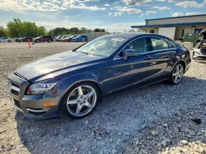 Mercedes-Benz CLS 4.6L 8 2014