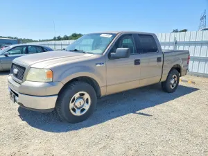 Ford F-150 4.6L 8 2006