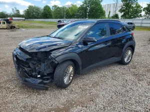 Hyundai Kona 2.0L 4 2019
