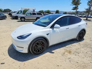 Tesla Model Y 2020