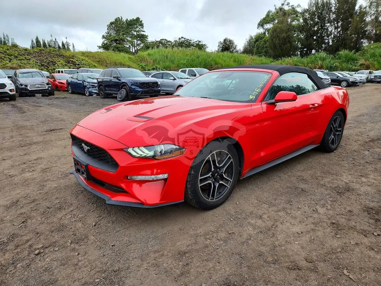 Ford Mustang 2.3L 4 2023
