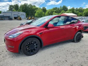 Tesla Model Y 2020