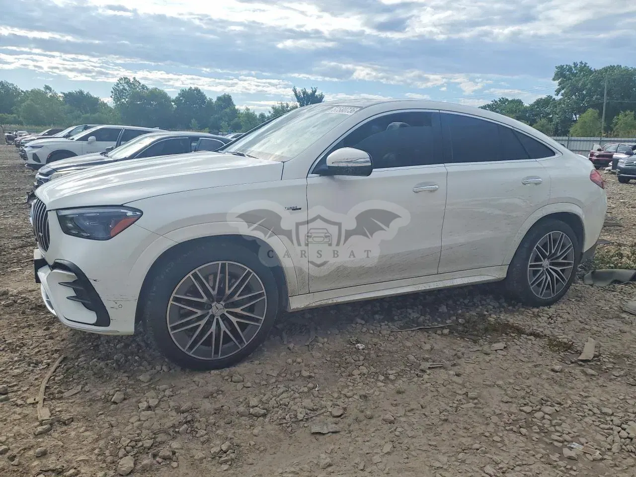 Mercedes-Benz GLE 3.0L 6 2024