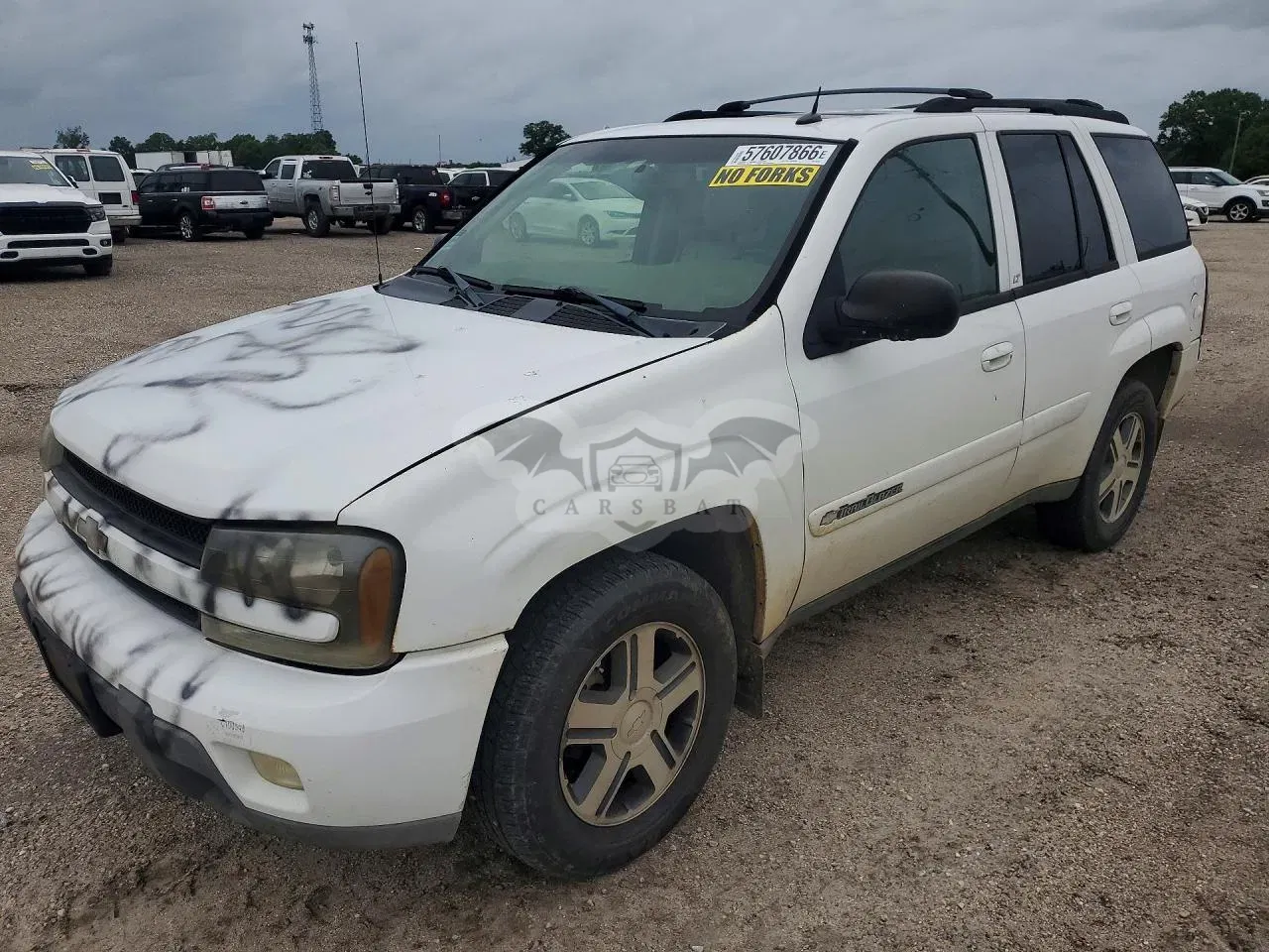 Chevrolet Trailblazer 4.2L 6 2004