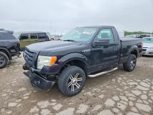 Ford F-150 4.6L 8 2009