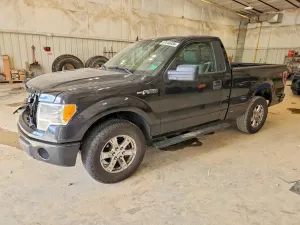 Ford F-150 4.6L 8 2009