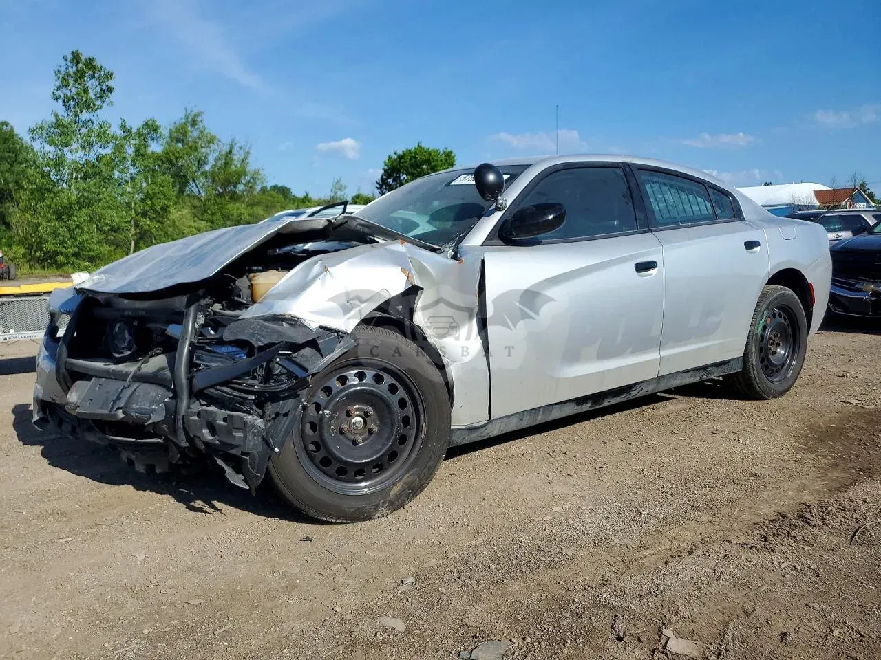 Dodge Charger 5.7L 8 2020