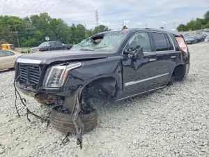 Cadillac Escalade 6.2L 8 2019