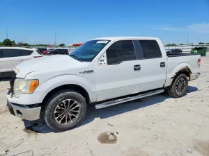 Ford F-150 4.6L 8 2010