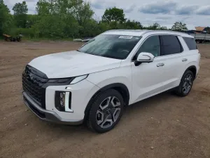 Hyundai Palisade 3.8L 6 2024