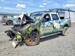 Ford F-150 5.4L 8 2006