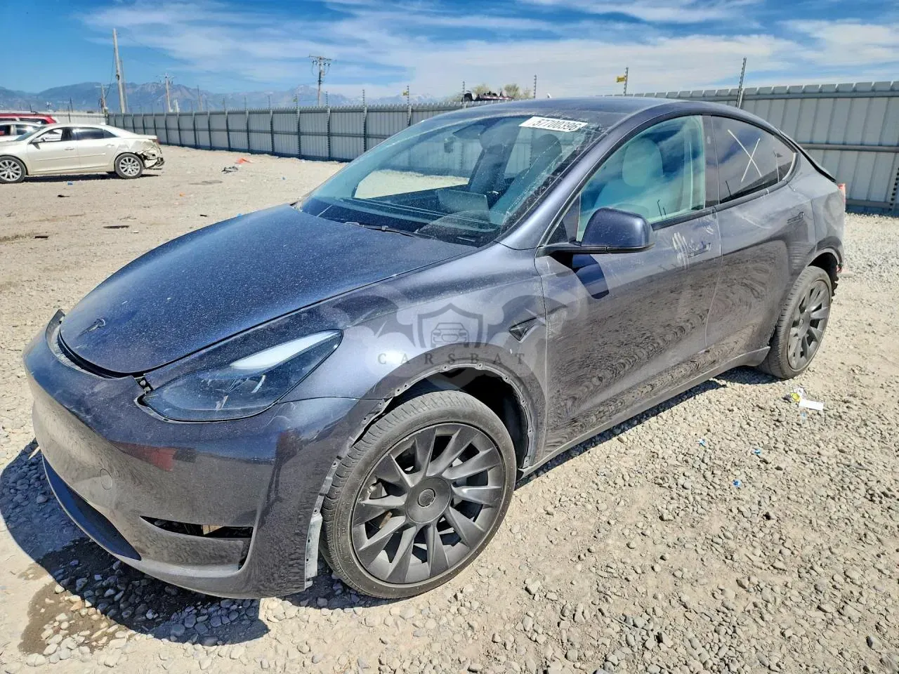 Tesla Model Y 2024