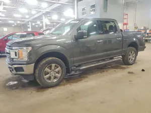 Ford F-150 5.0L 8 2020