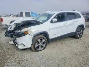 Jeep Cherokee 2.0L 4 2019