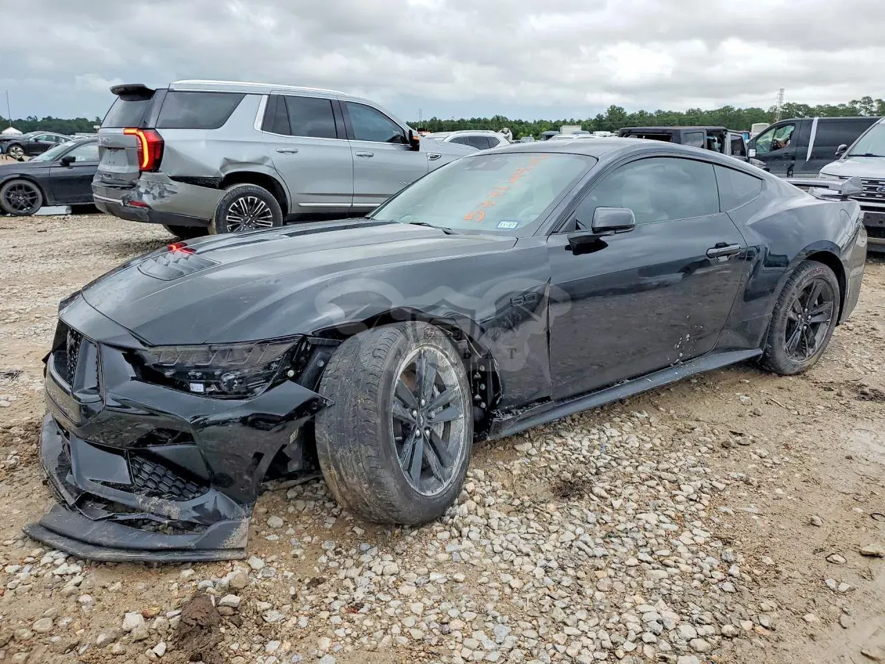 Ford Mustang 5.0L 8 2025