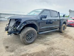 Ford F-150 3.5L 6 2024